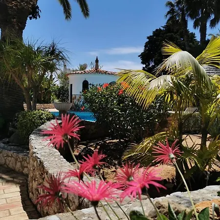 Villa Strelitzia *